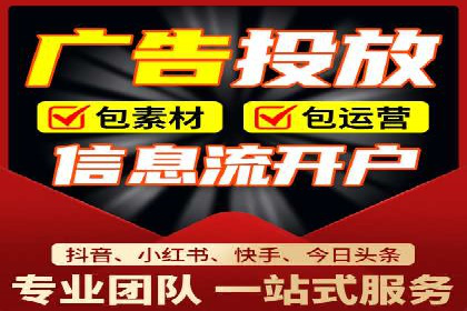 SEM运营策略案例分析